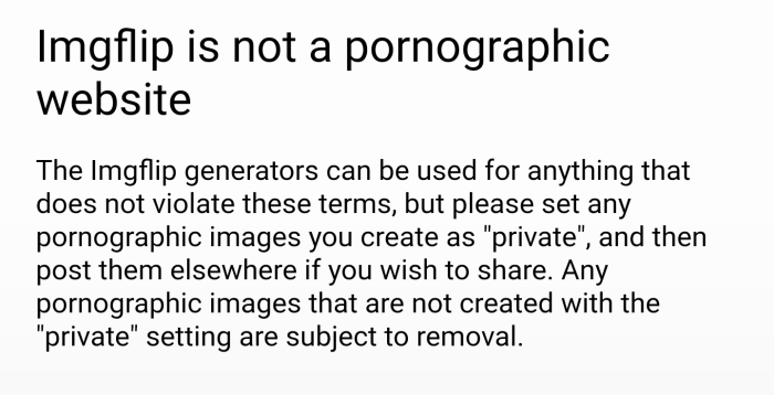 Imgflip TOS (Not a pornographic website) Blank Template - Imgflip Imgflip TOS (Not a pornographic website) Blank Template - Imgflip